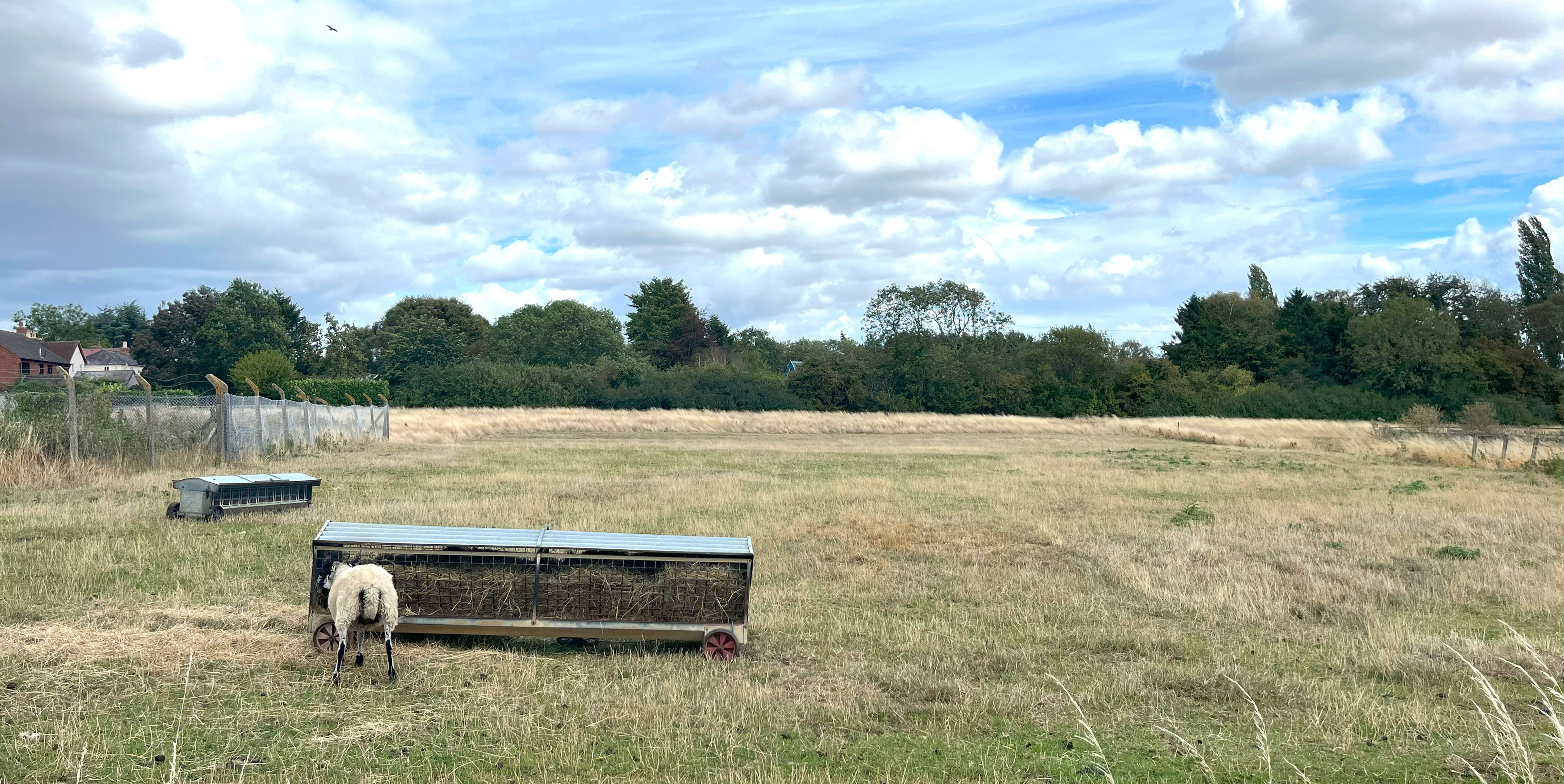 Site Image